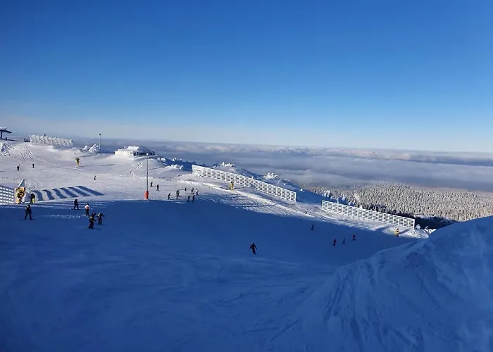 Pilatus - Jahorinska 亚霍里纳